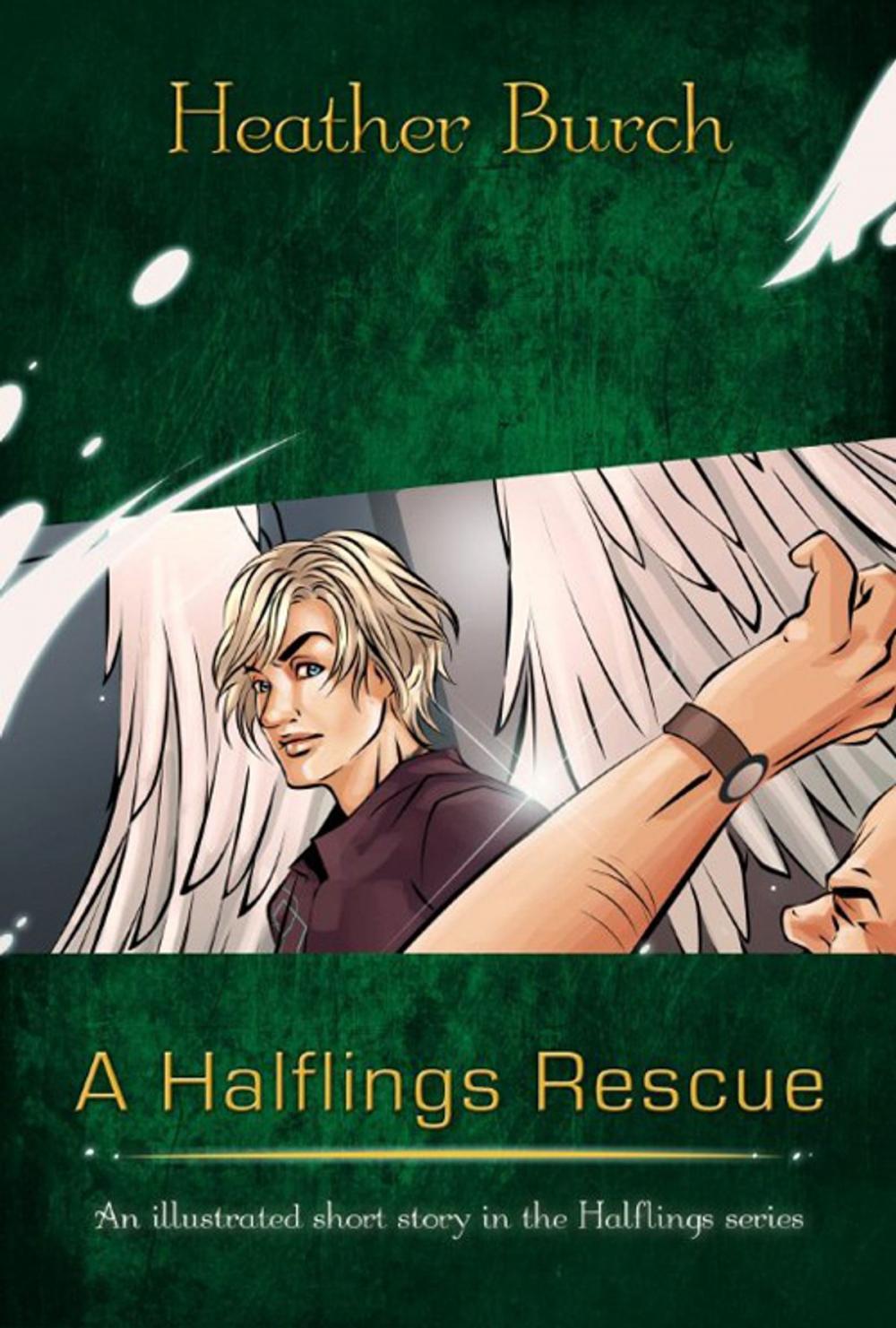 Big bigCover of A Halflings Rescue