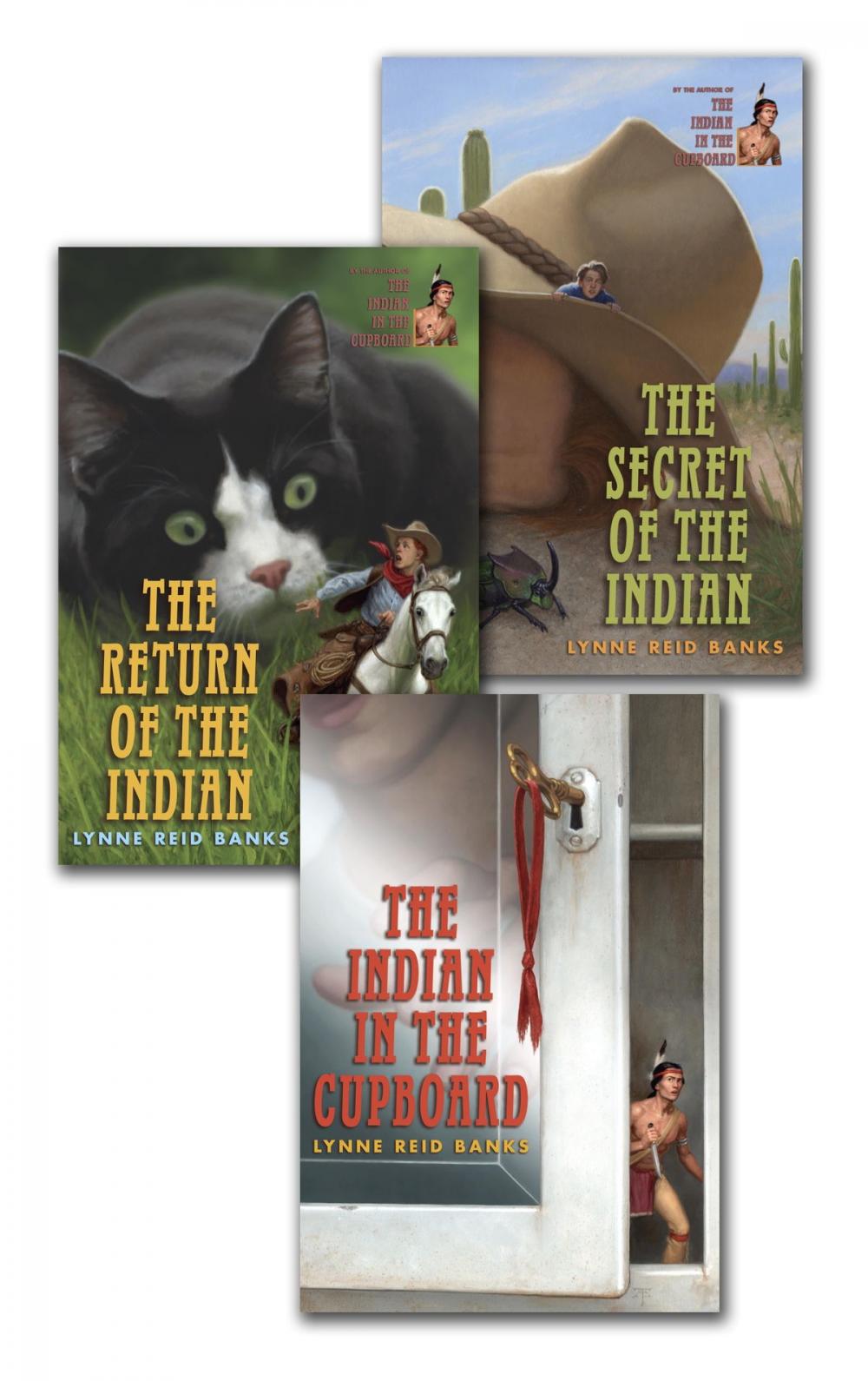 Big bigCover of The Indian in the Cupboard Series