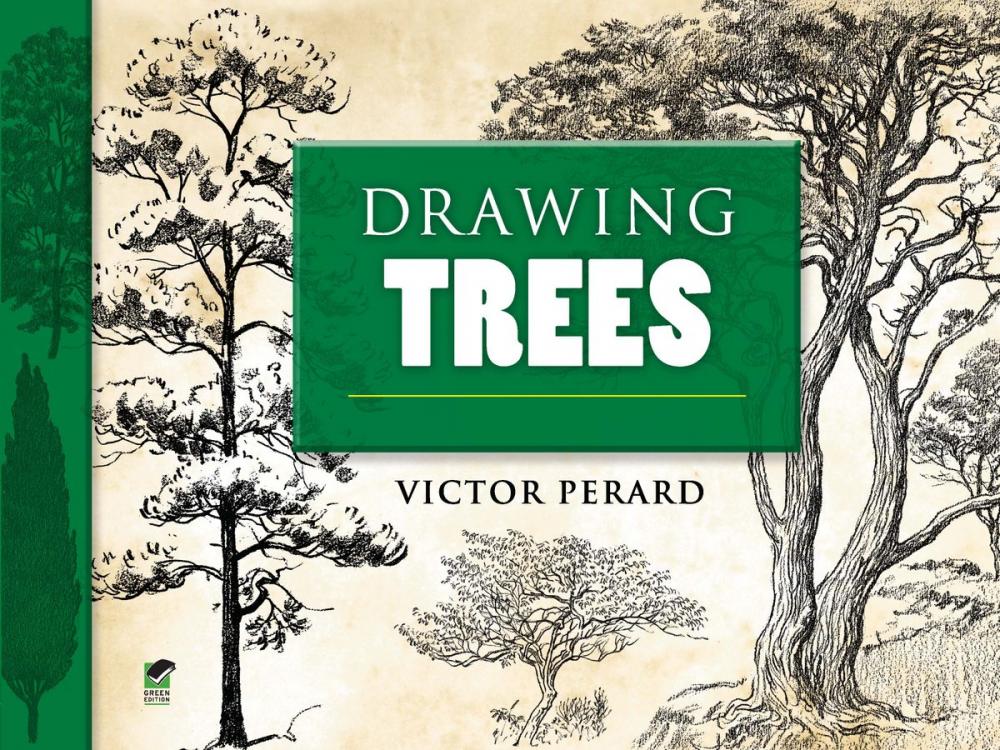 Big bigCover of Drawing Trees