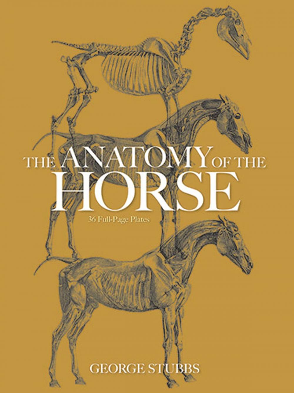 Big bigCover of The Anatomy of the Horse