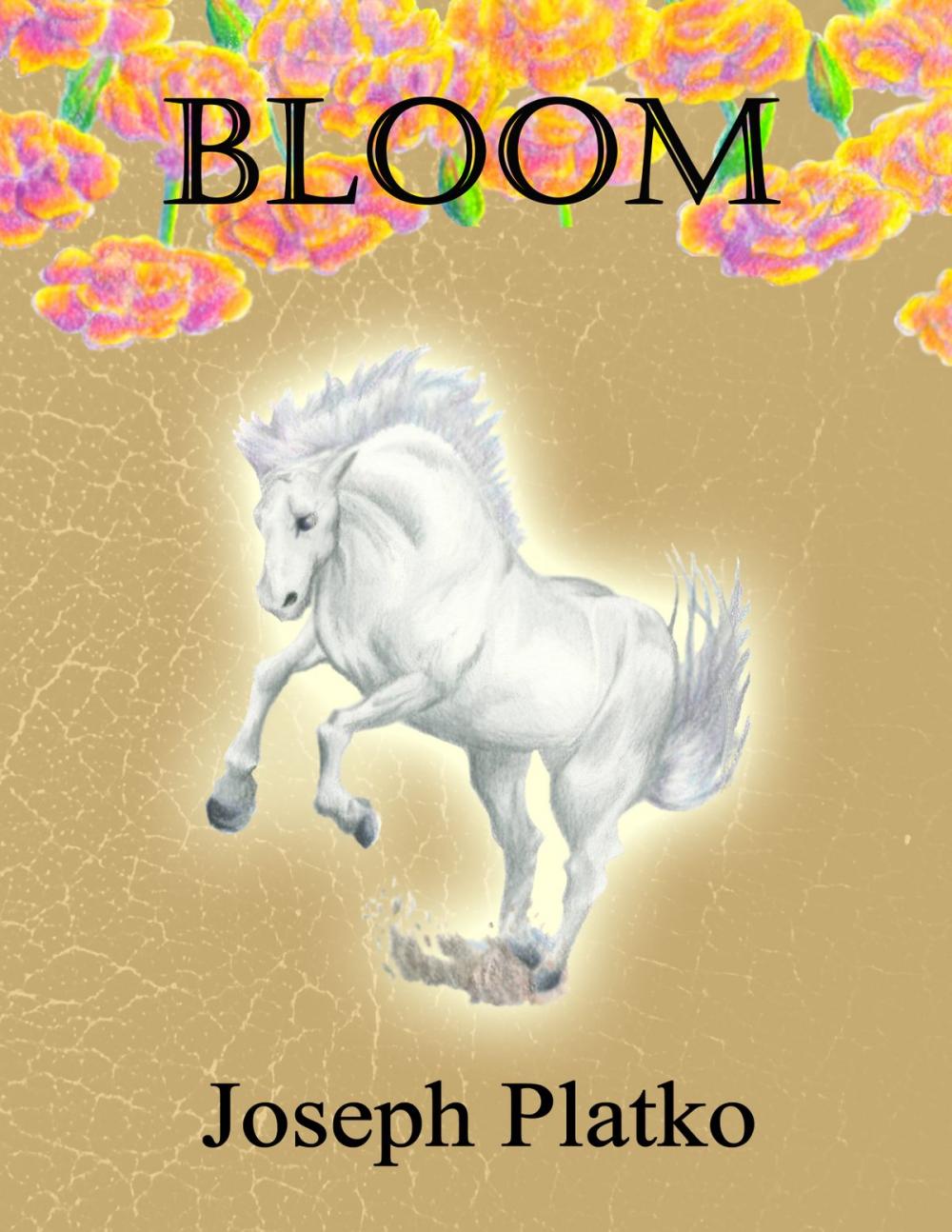 Big bigCover of Bloom