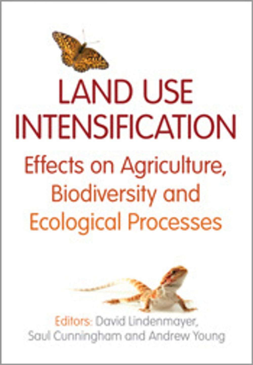 Big bigCover of Land Use Intensification