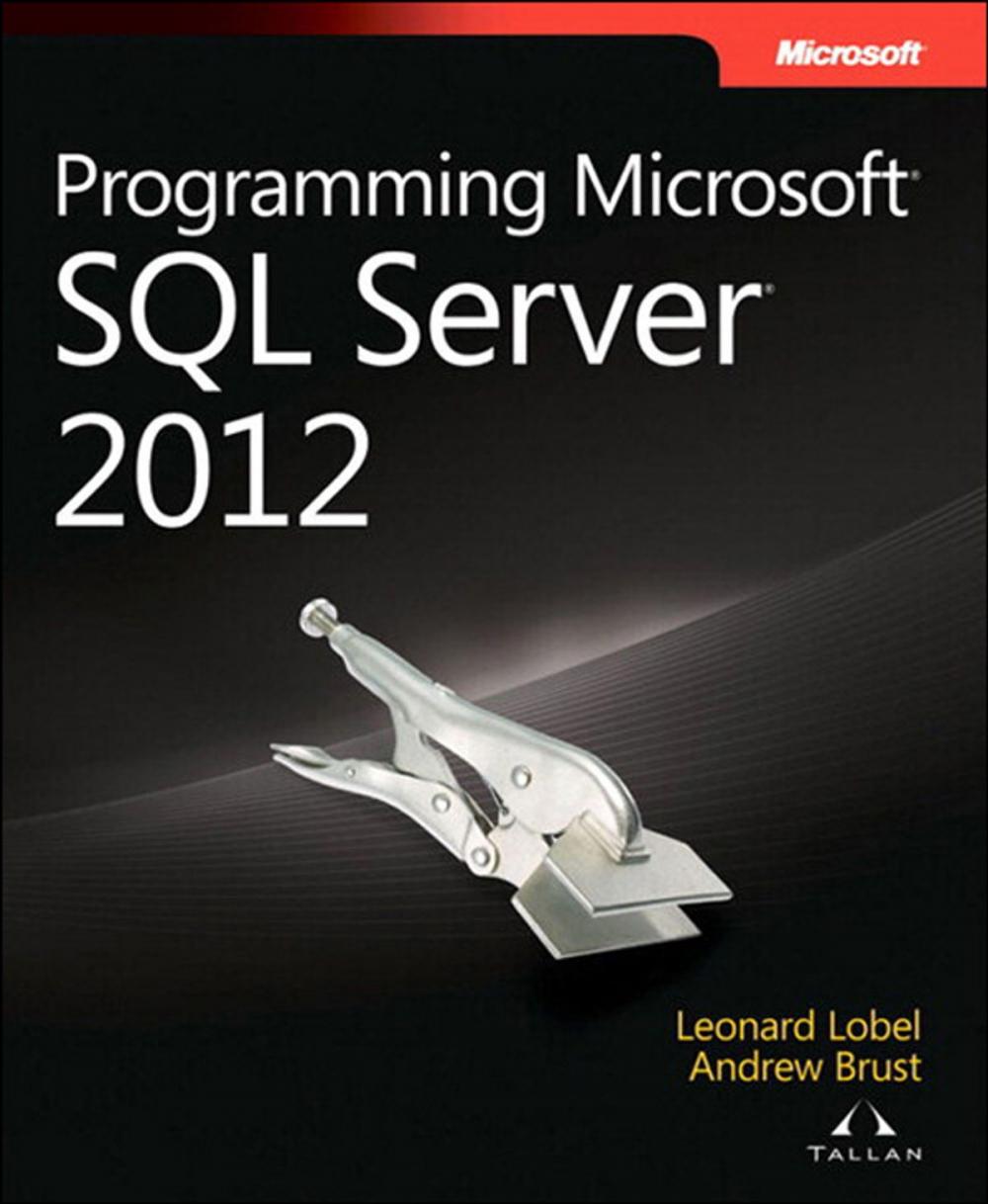 Big bigCover of Programming Microsoft SQL Server 2012