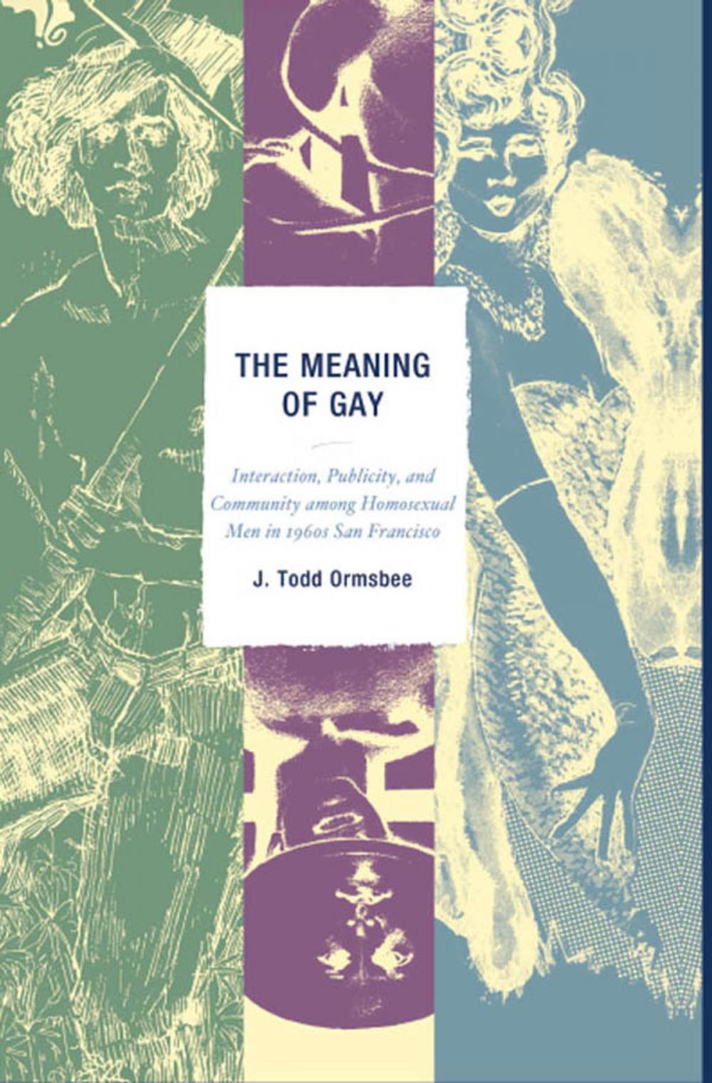 Big bigCover of The Meaning of Gay