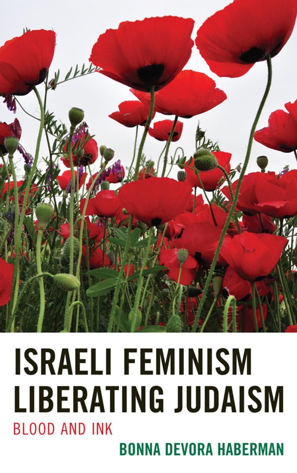 Big bigCover of Israeli Feminism Liberating Judaism