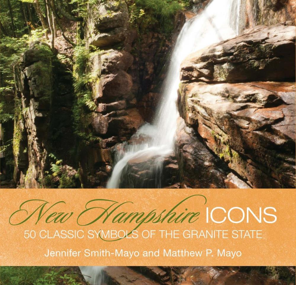 Big bigCover of New Hampshire Icons