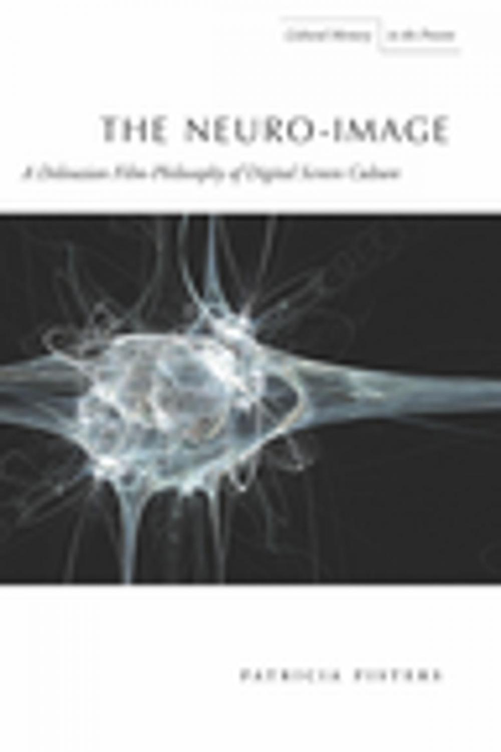 Big bigCover of The Neuro-Image