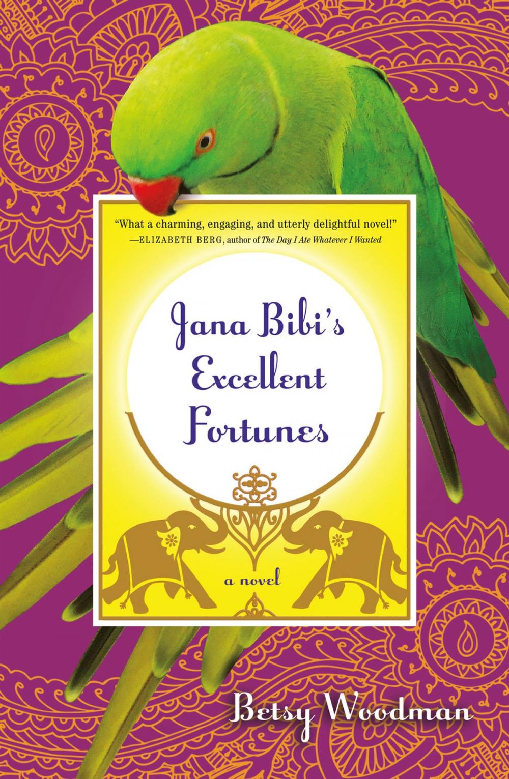 Big bigCover of Jana Bibi's Excellent Fortunes