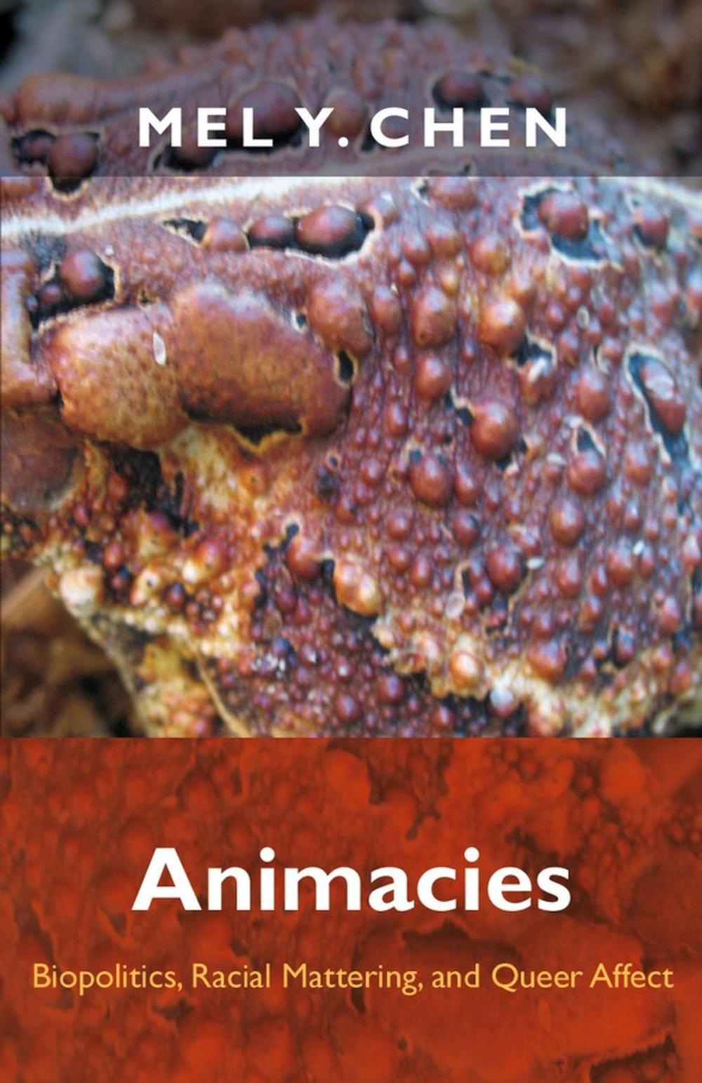 Big bigCover of Animacies