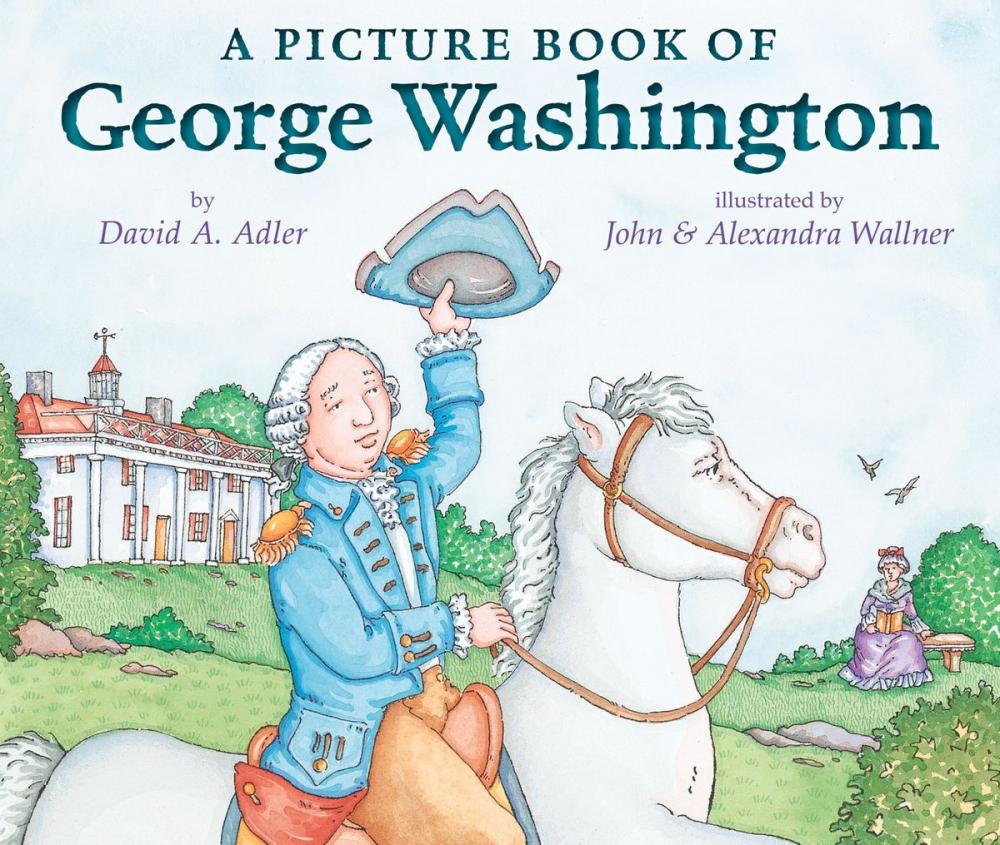 Big bigCover of A Picture Book of George Washington