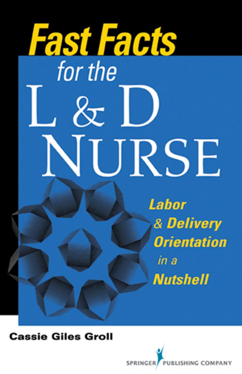 Big bigCover of Fast Facts for the L & D Nurse