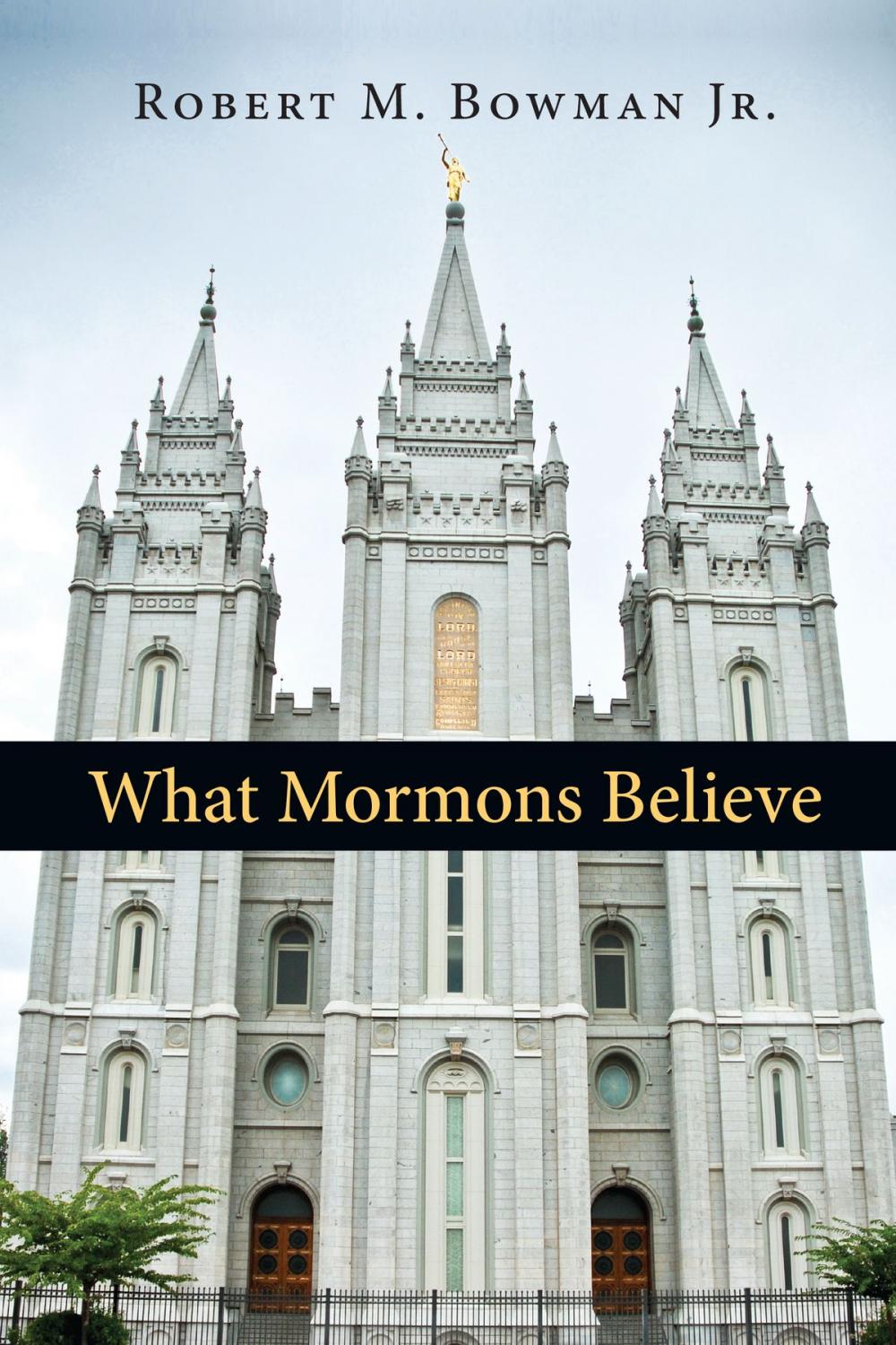 Big bigCover of What Mormons Believe