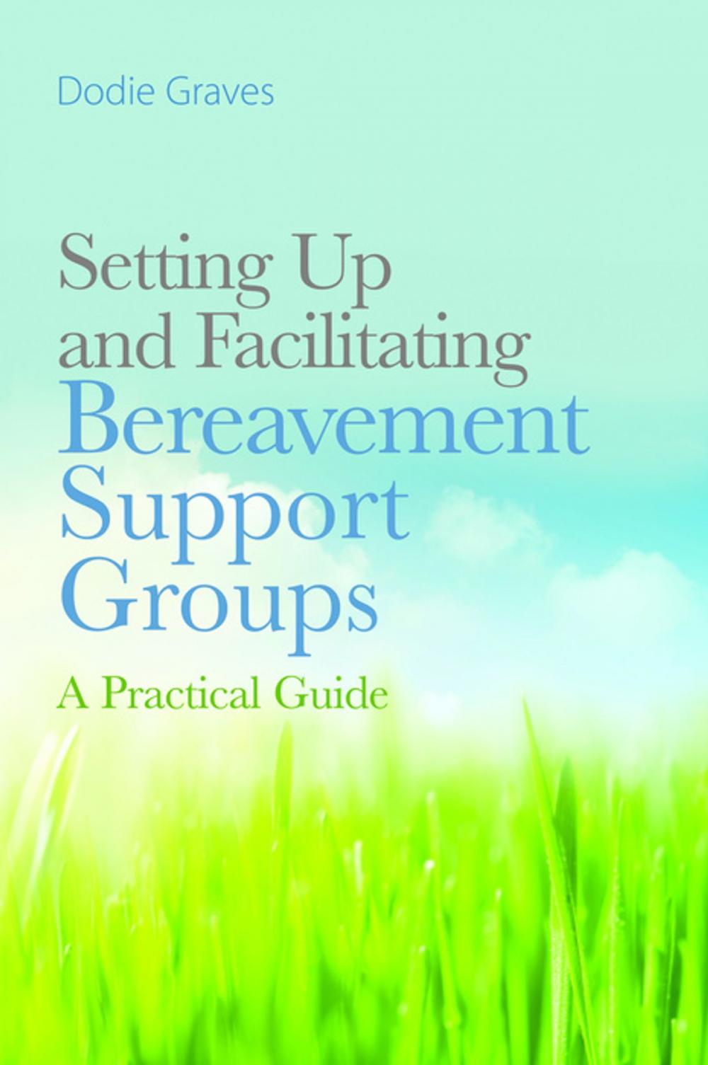 Big bigCover of Setting Up and Facilitating Bereavement Support Groups