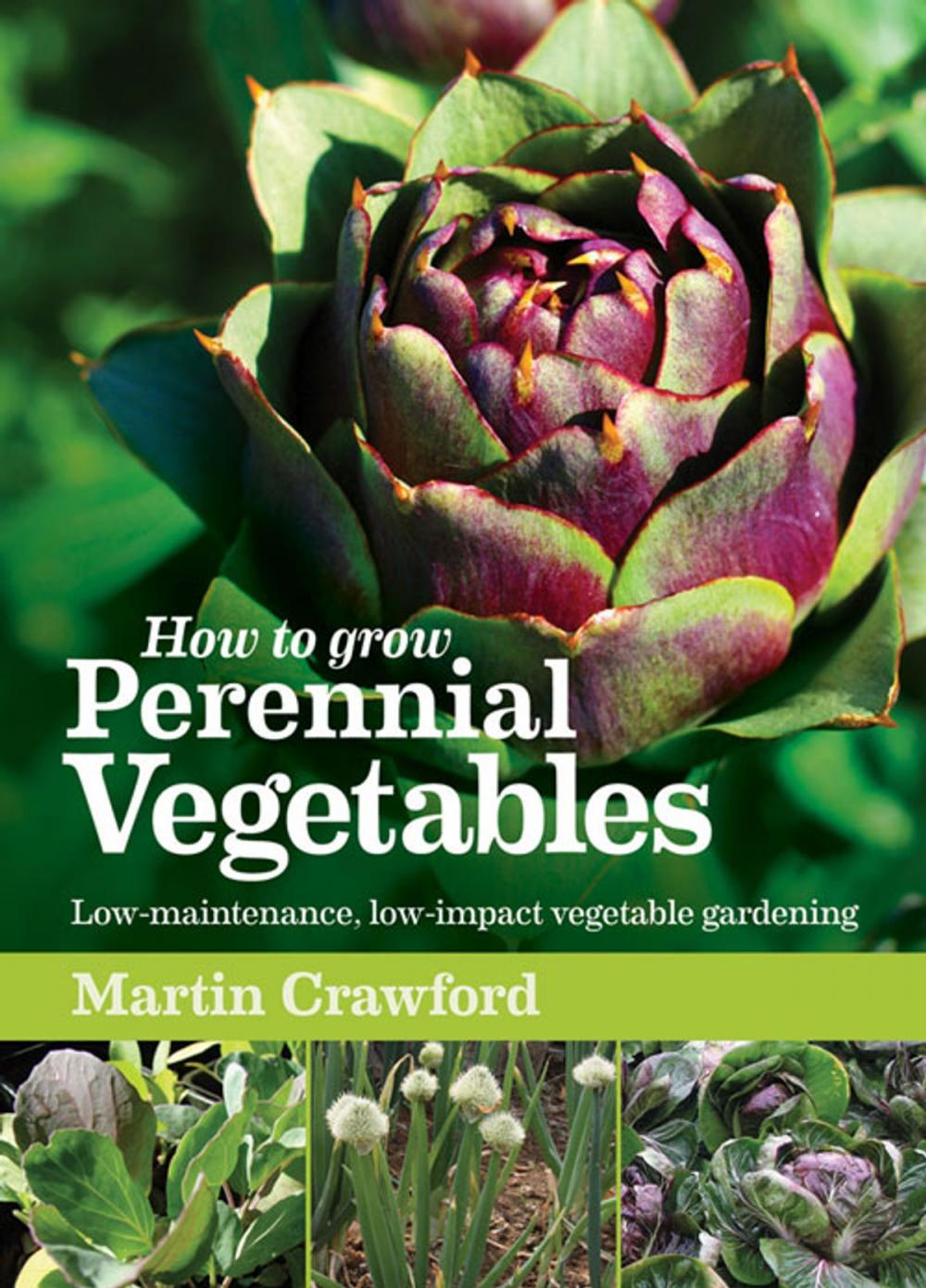 Big bigCover of How to Grow Perennial Vegetables