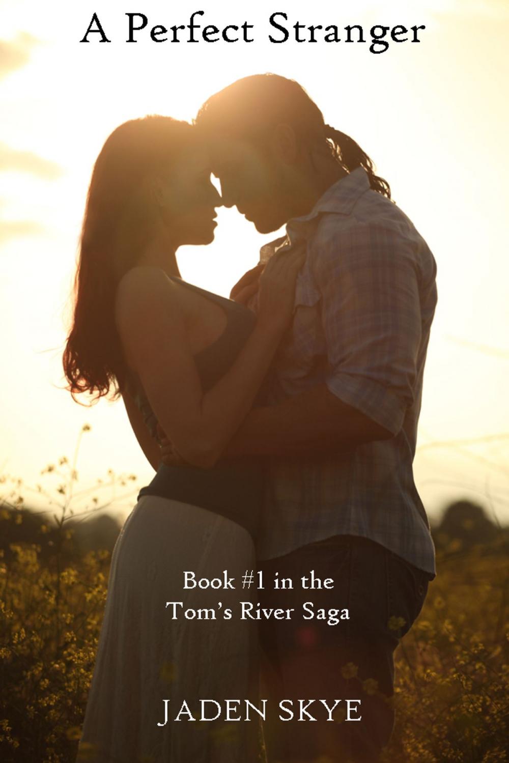 Big bigCover of A Perfect Stranger (Book #1 in the Tom's River Saga)