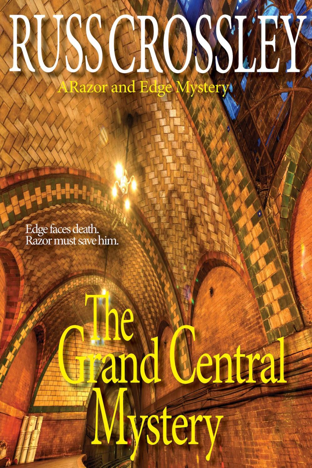 Big bigCover of The Grand Central Mystery