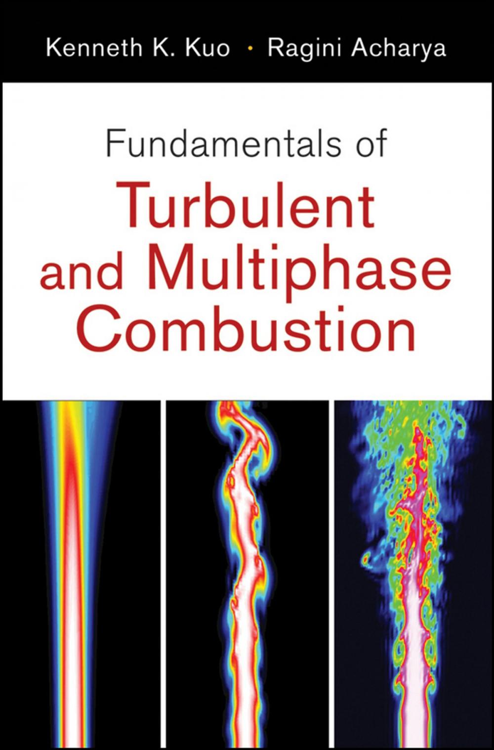 Big bigCover of Fundamentals of Turbulent and Multiphase Combustion