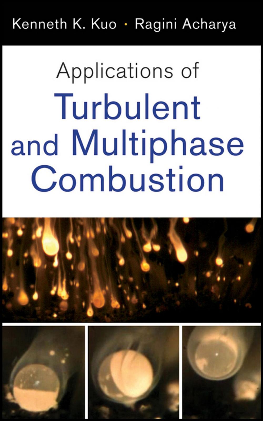 Big bigCover of Applications of Turbulent and Multiphase Combustion