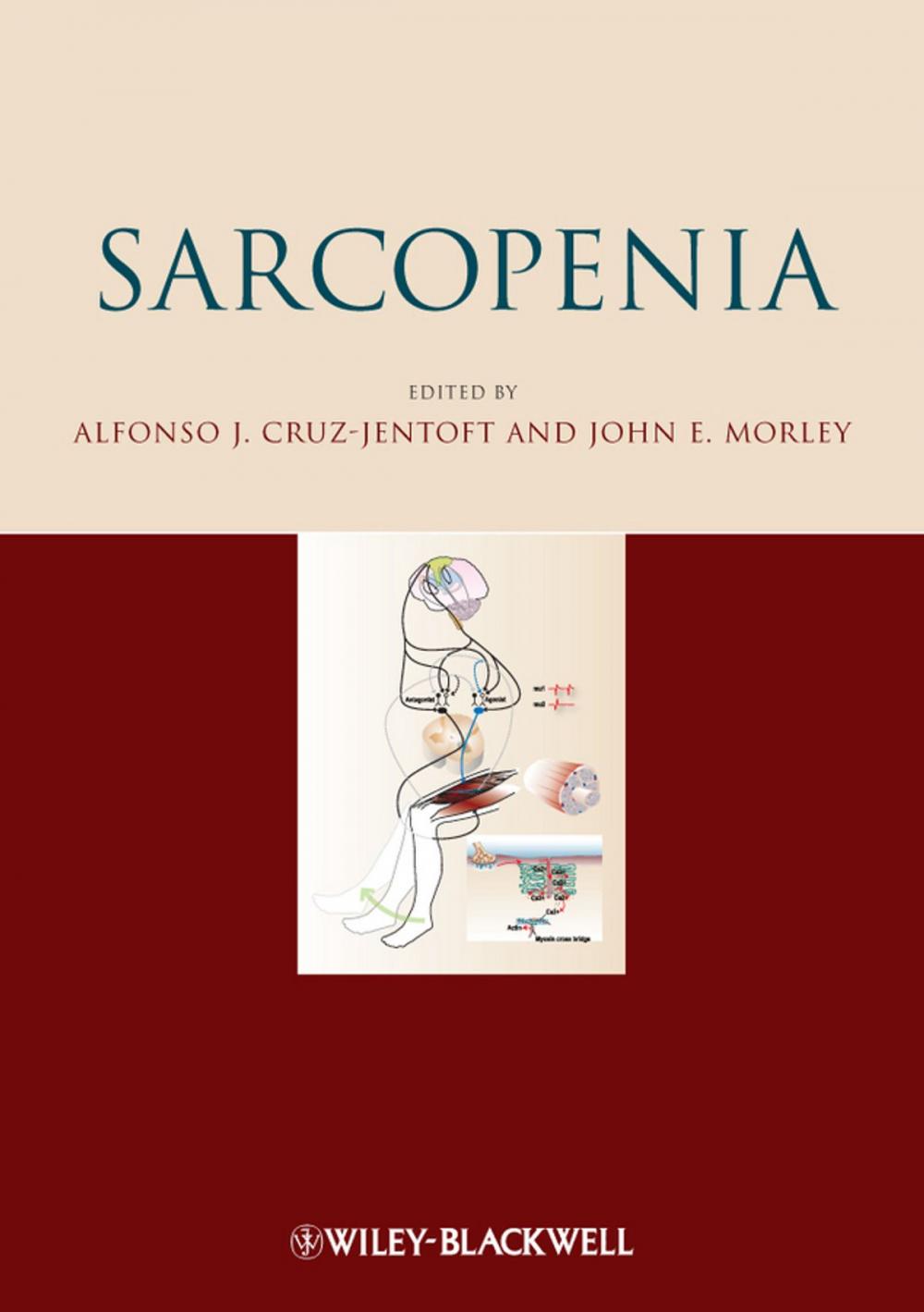 Big bigCover of Sarcopenia