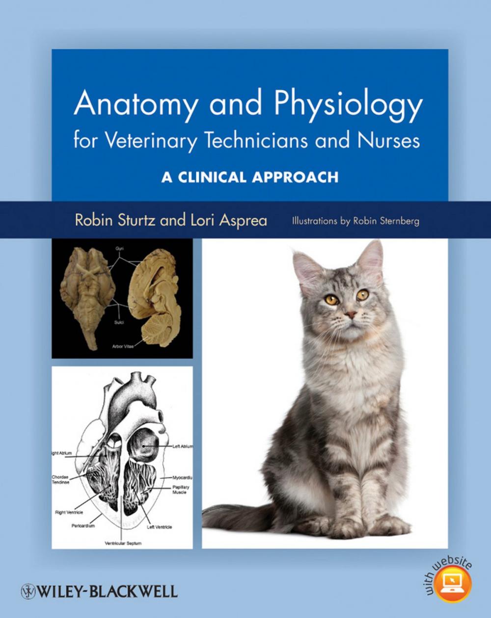 Big bigCover of Anatomy and Physiology for Veterinary Technicians and Nurses