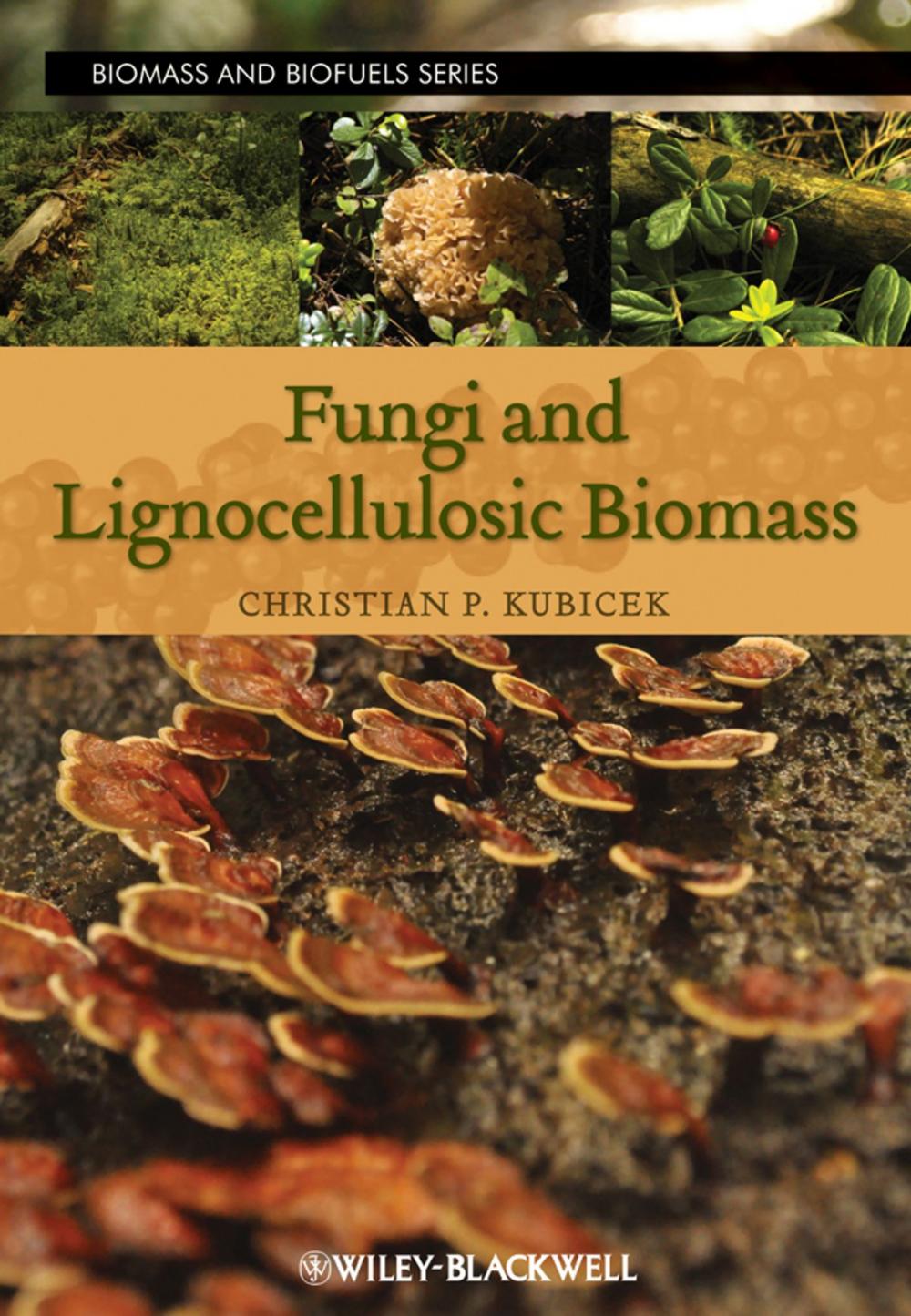 Big bigCover of Fungi and Lignocellulosic Biomass