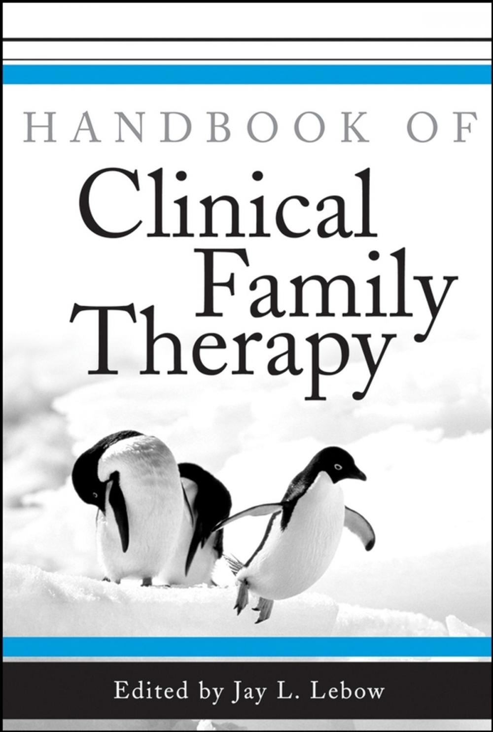 Big bigCover of Handbook of Clinical Family Therapy