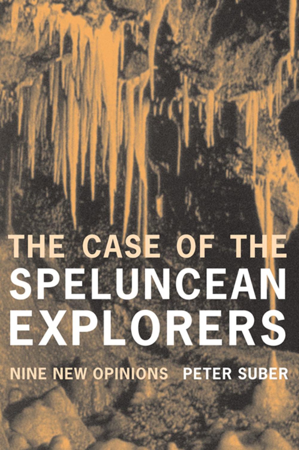 Big bigCover of The Case of the Speluncean Explorers