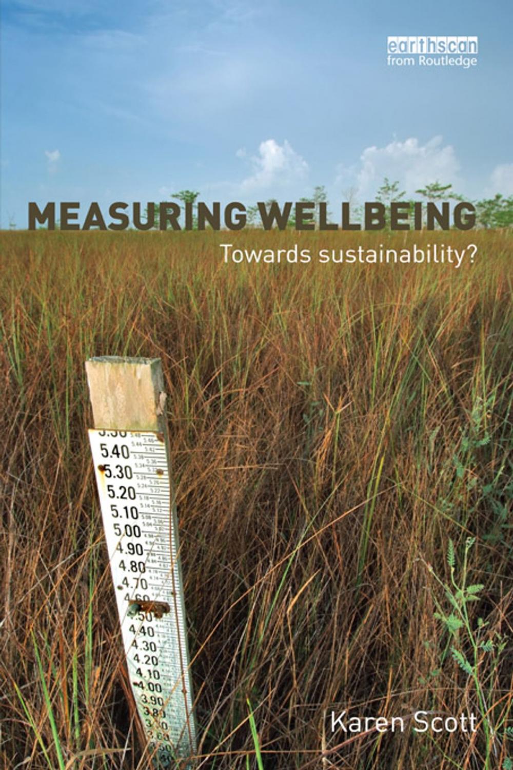 Big bigCover of Measuring Wellbeing: Towards Sustainability?