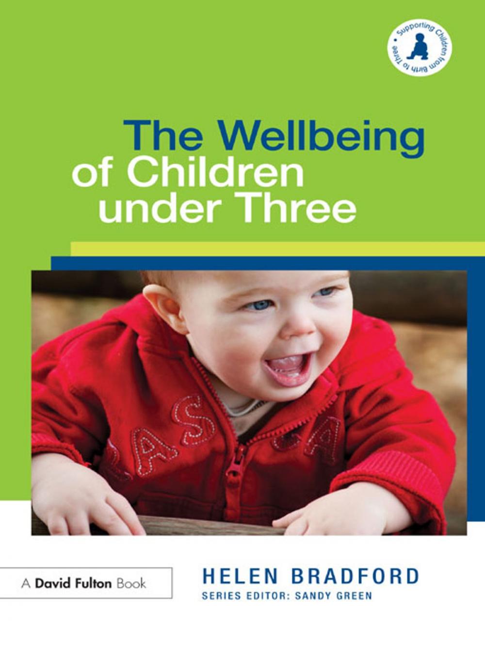 Big bigCover of The Wellbeing of Children under Three