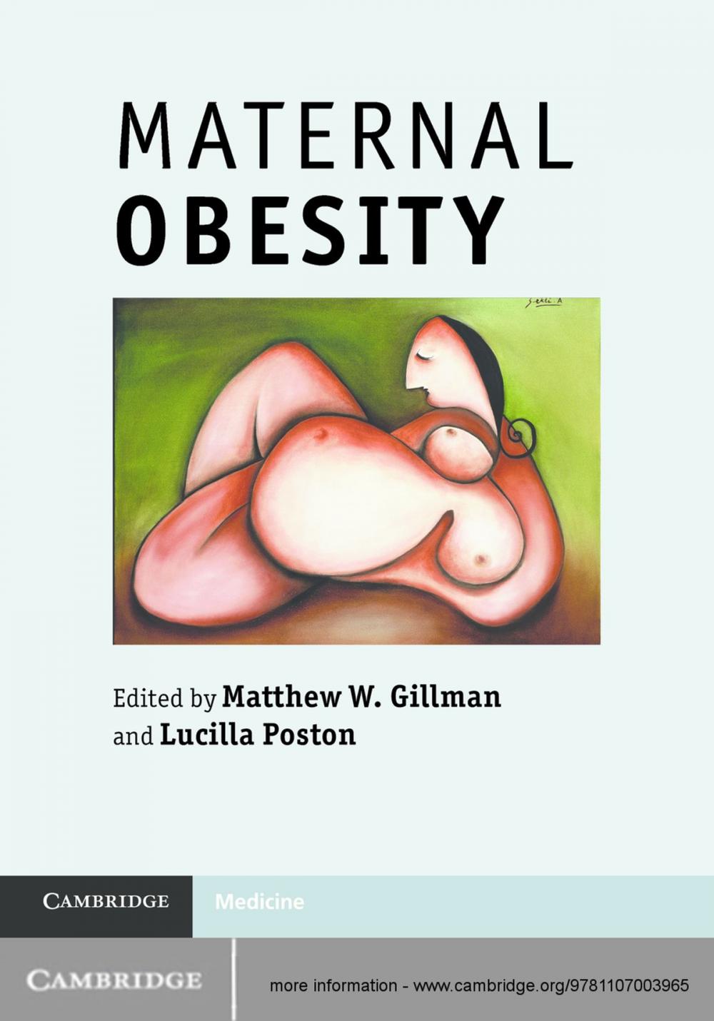 Big bigCover of Maternal Obesity