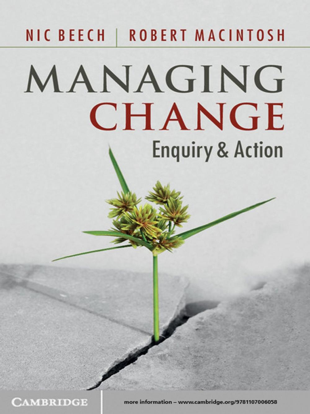 Big bigCover of Managing Change