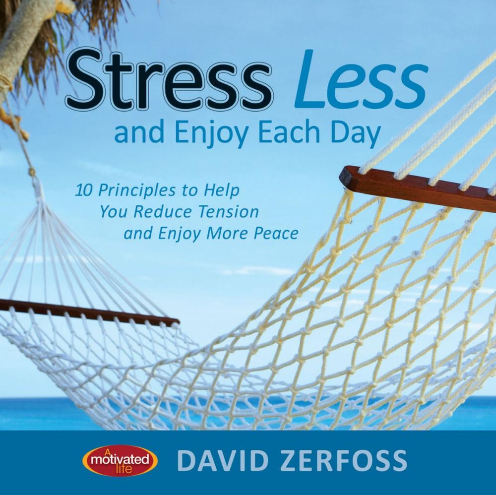 Big bigCover of Stress Less and Enjoy Each Day