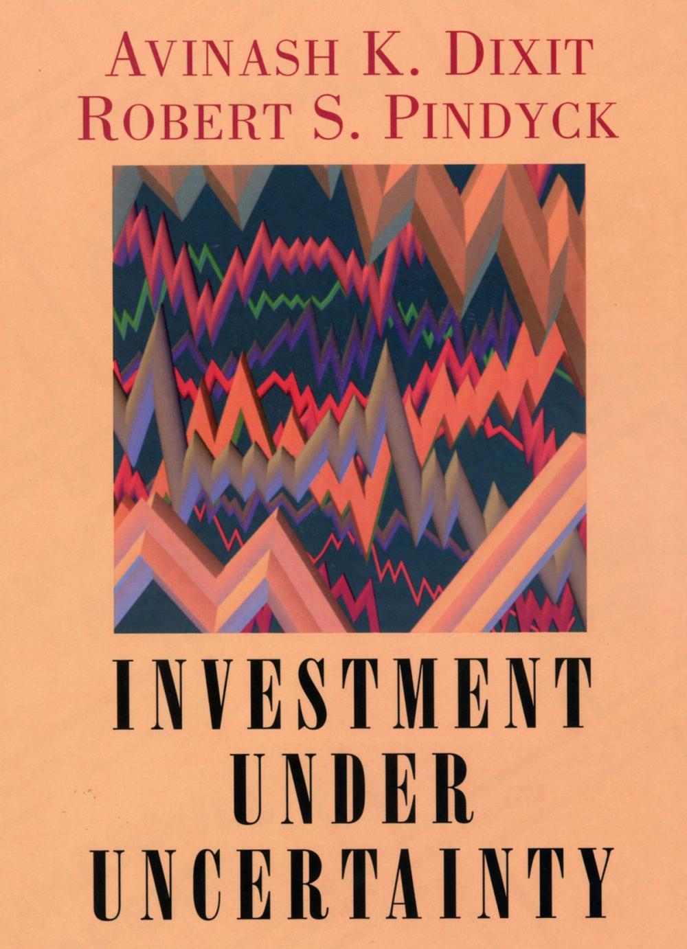 Big bigCover of Investment under Uncertainty