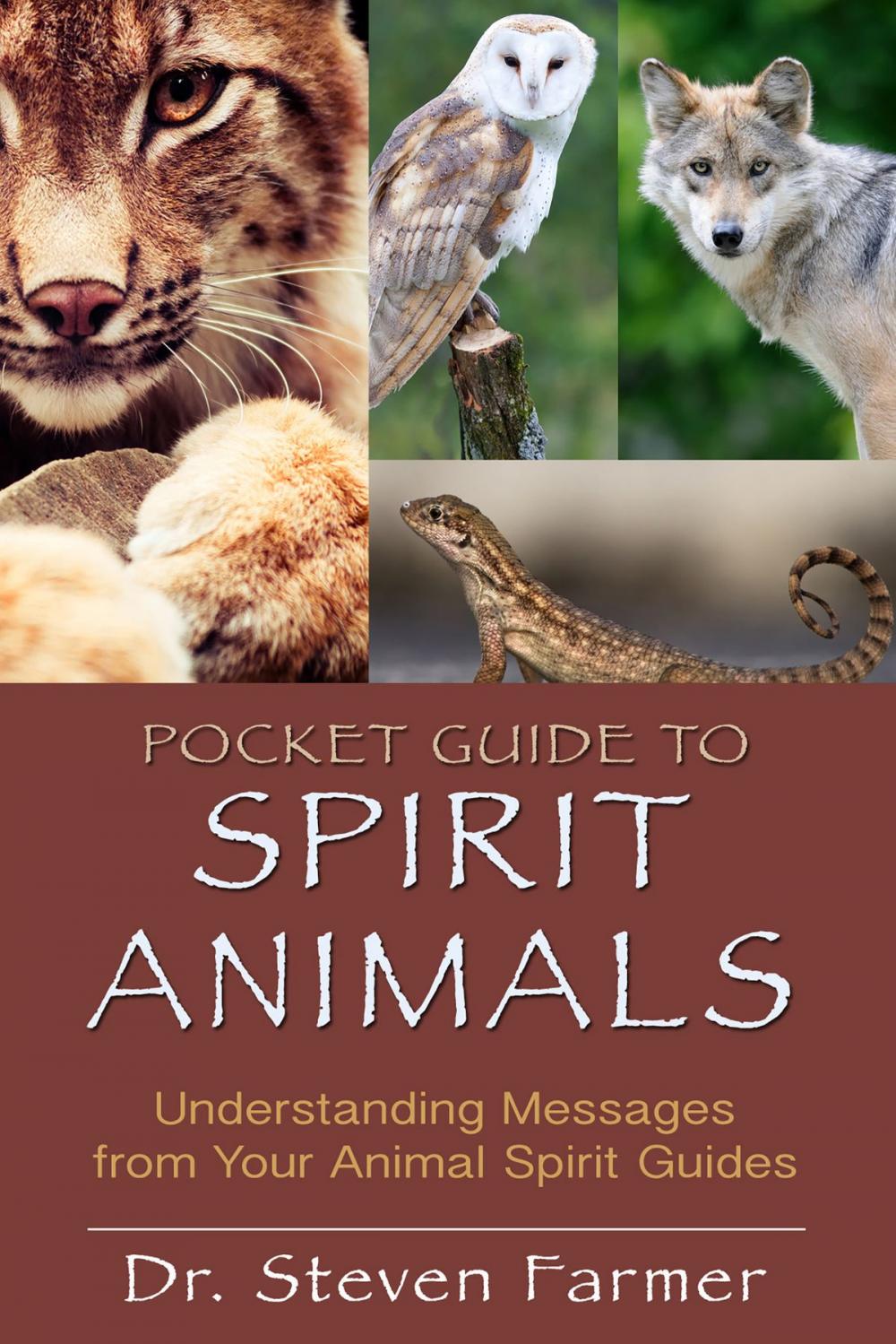 Big bigCover of Pocket Guide to Spirit Animals