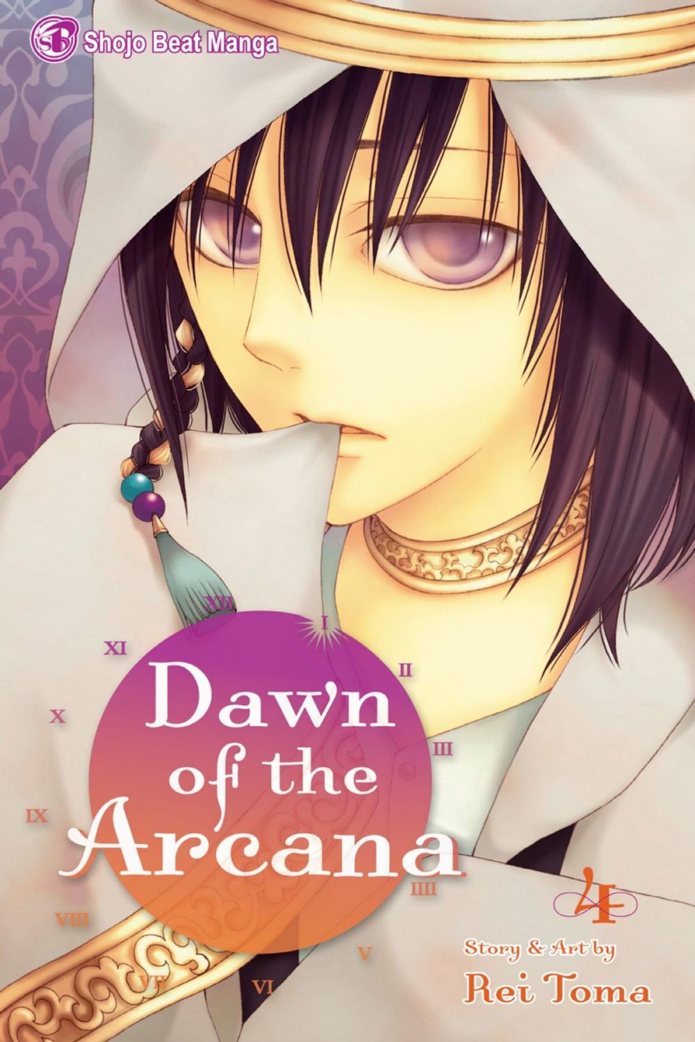 Big bigCover of Dawn of the Arcana, Vol. 4