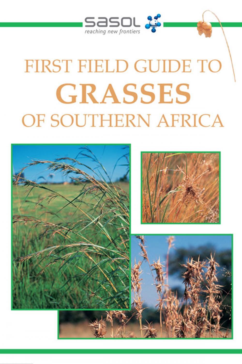 Big bigCover of First Field Guide to Grasses of Southern Africa