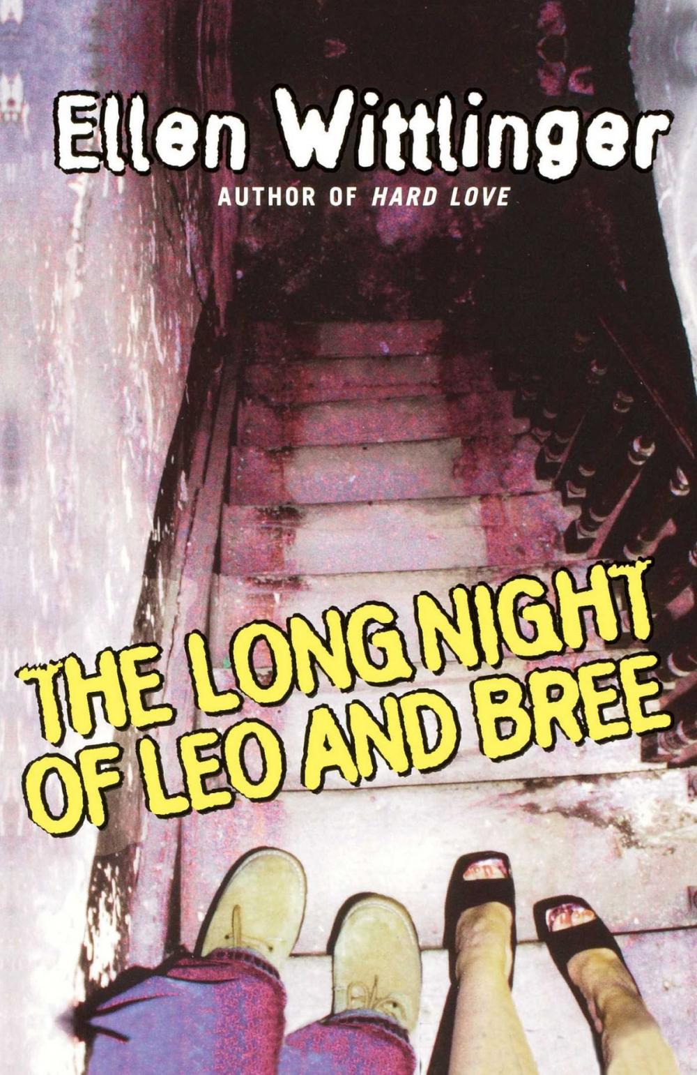 Big bigCover of The Long Night of Leo and Bree