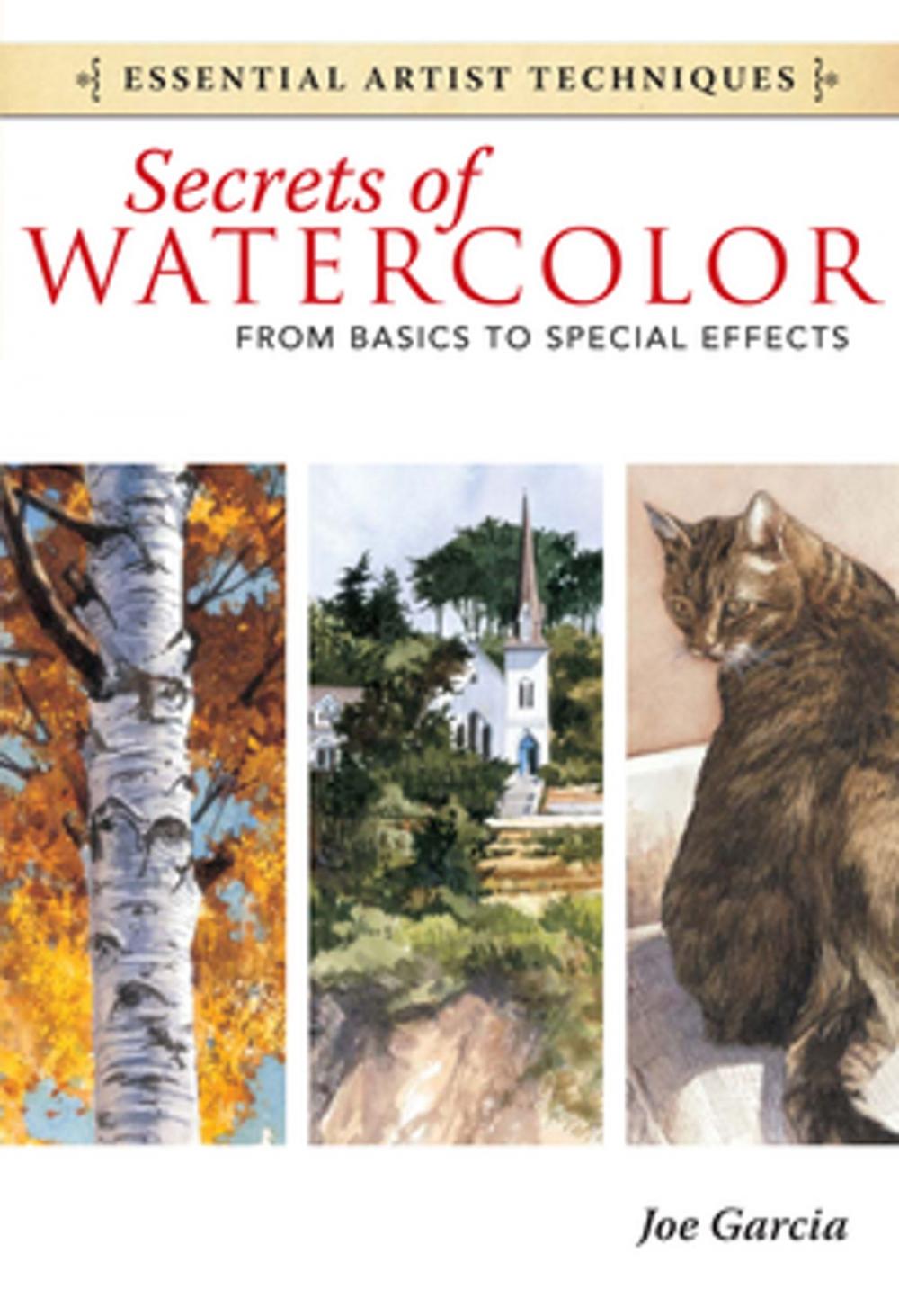 Big bigCover of Secrets of Watercolor - From Basics to Special Effects