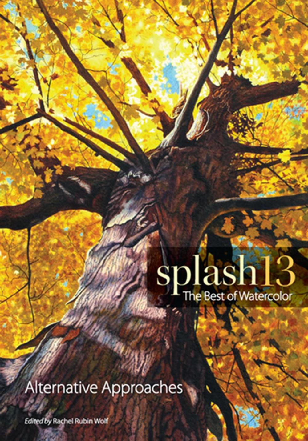 Big bigCover of Splash 13