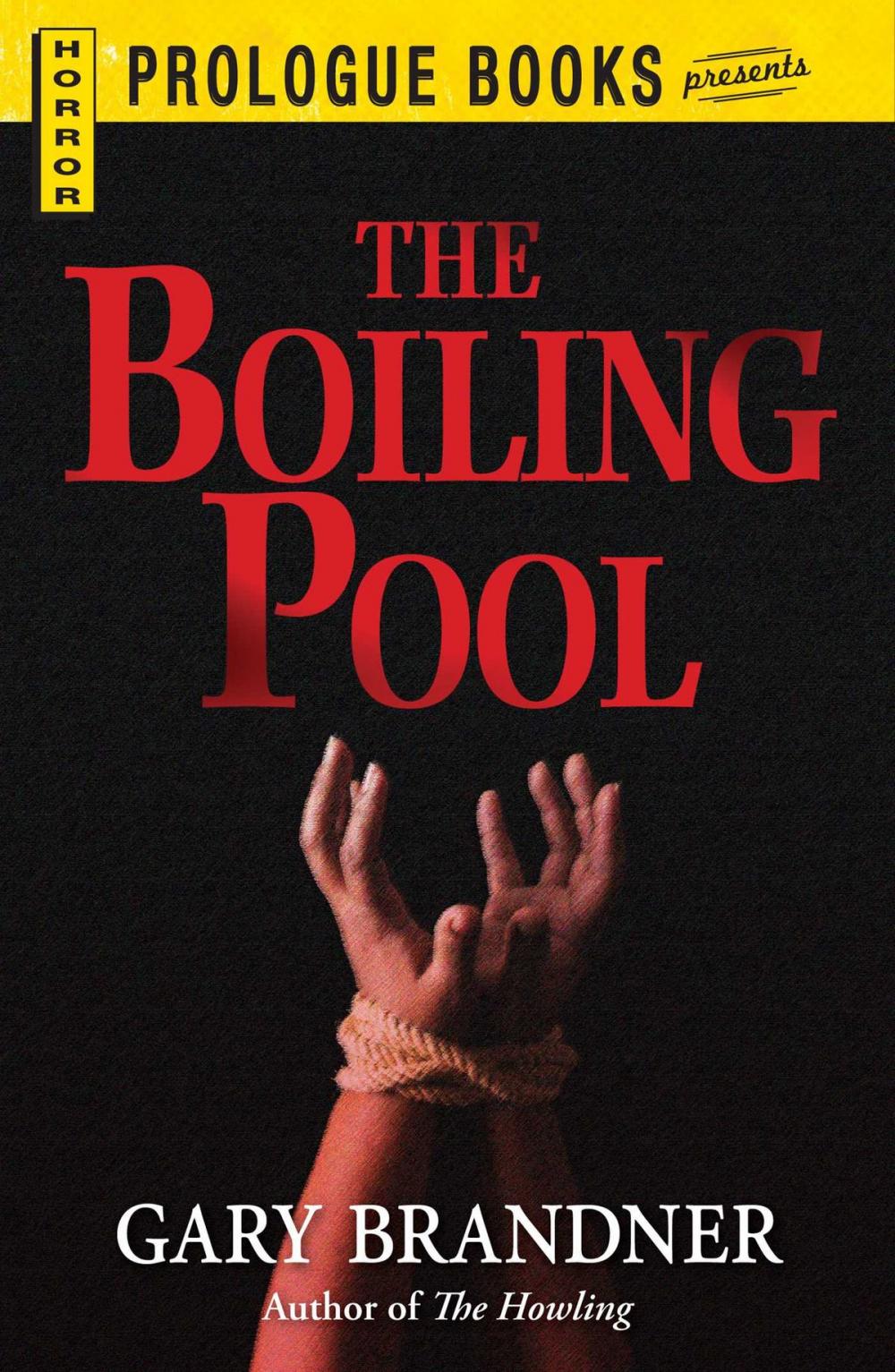 Big bigCover of The Boiling Pool