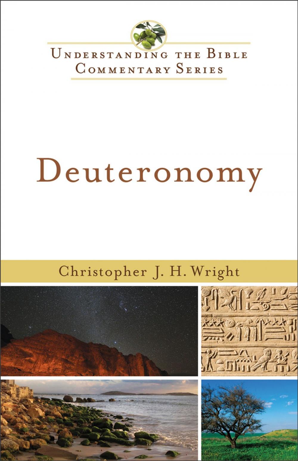 Big bigCover of Deuteronomy (Understanding the Bible Commentary Series)