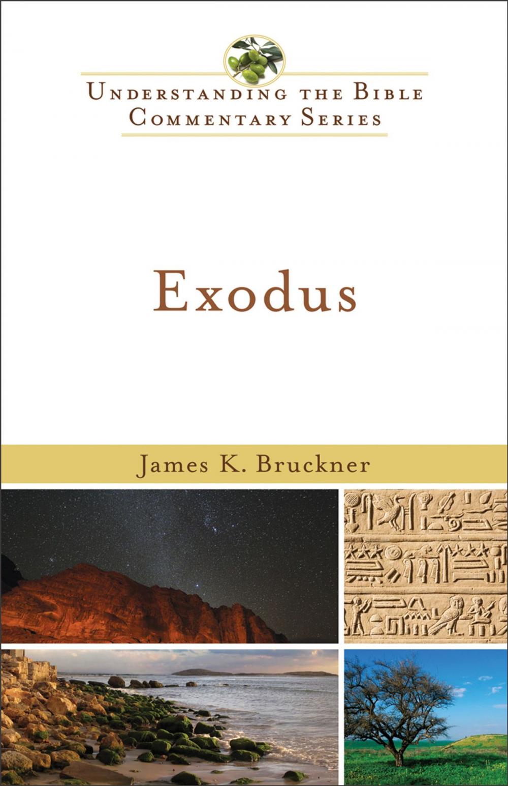 Big bigCover of Exodus (Understanding the Bible Commentary Series)