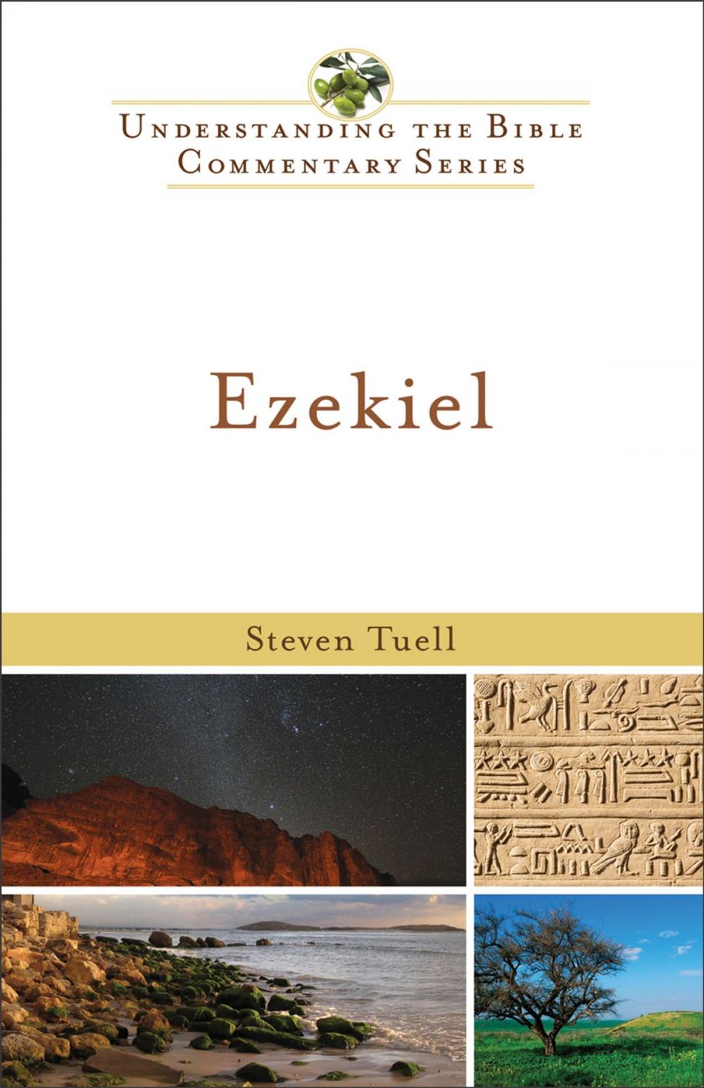 Big bigCover of Ezekiel (Understanding the Bible Commentary Series)