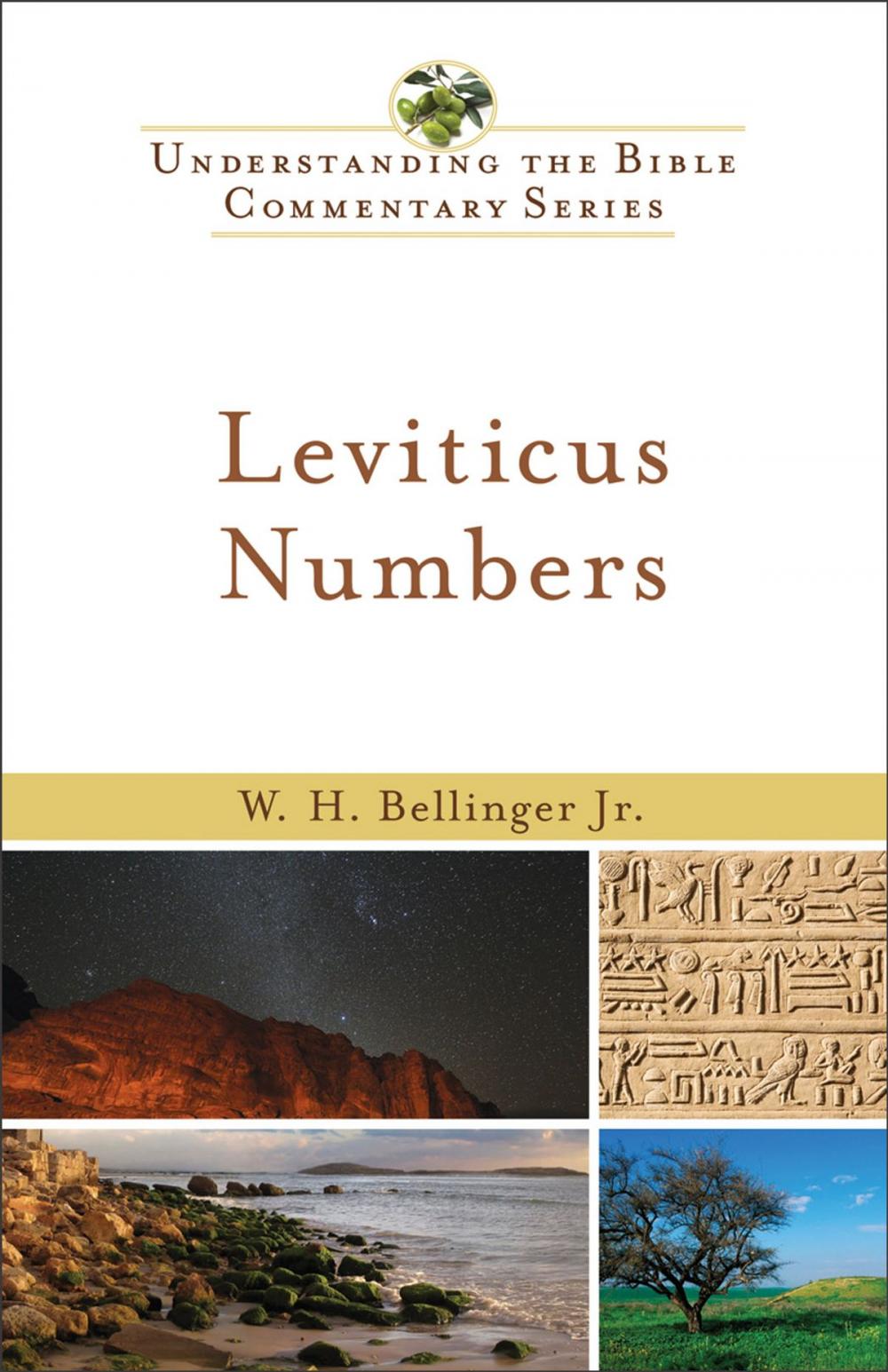 Big bigCover of Leviticus, Numbers (Understanding the Bible Commentary Series)