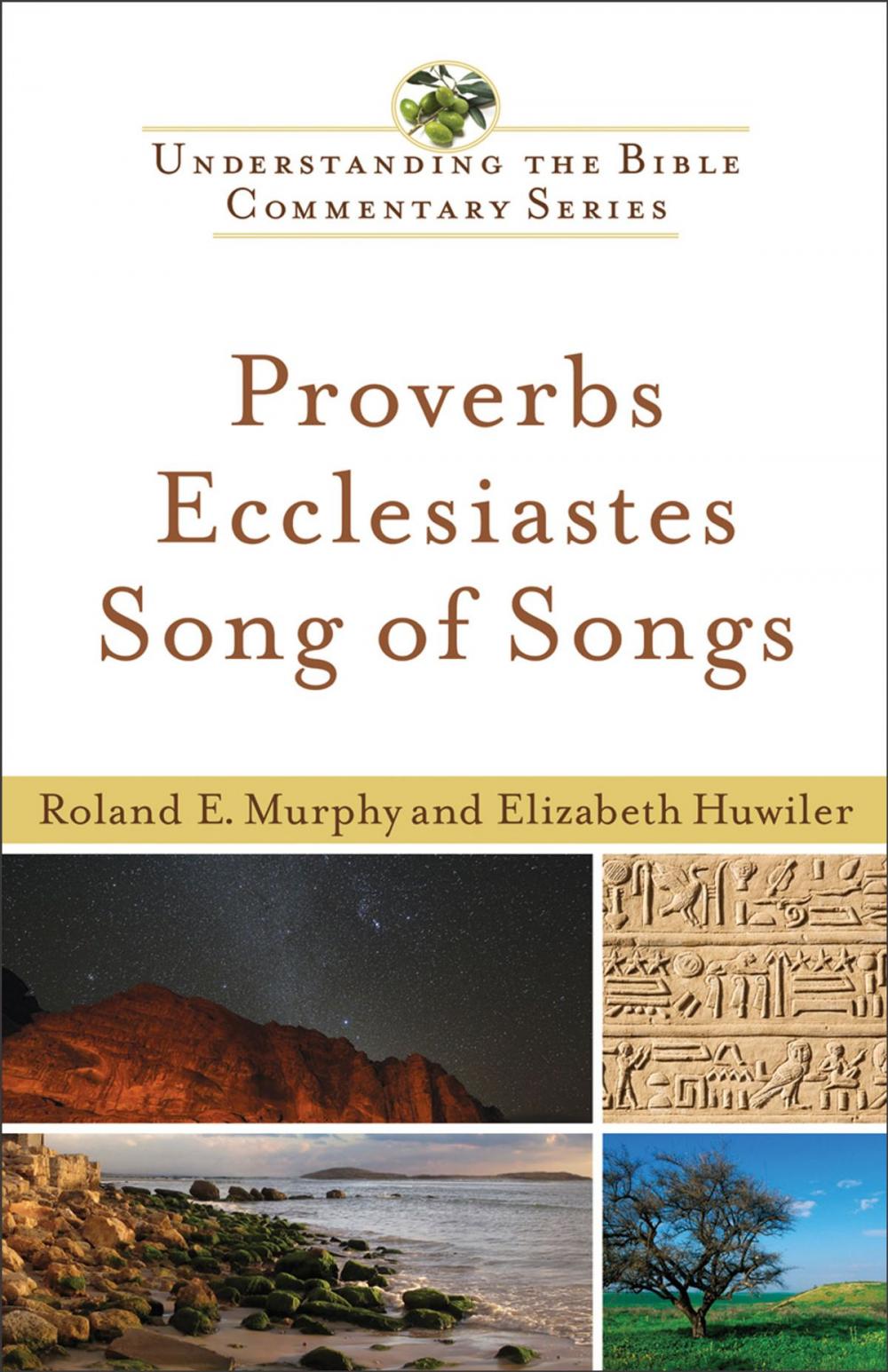 Big bigCover of Proverbs, Ecclesiastes, Song of Songs (Understanding the Bible Commentary Series)