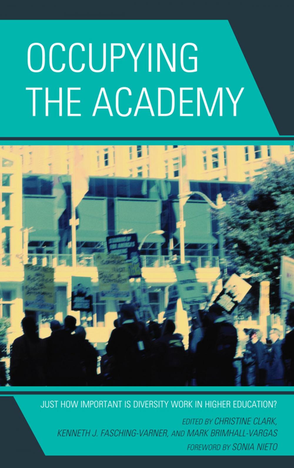 Big bigCover of Occupying the Academy