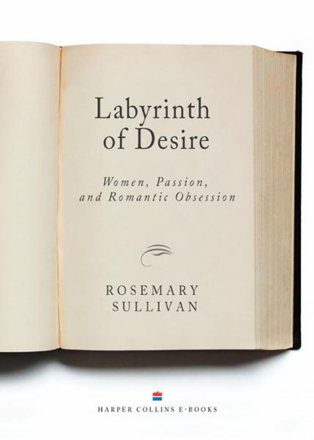 Big bigCover of Labyrinth Of Desire