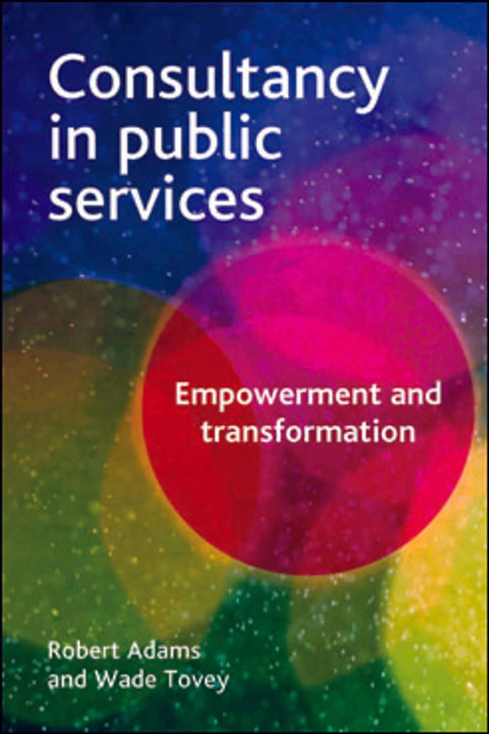 Big bigCover of Consultancy in public services