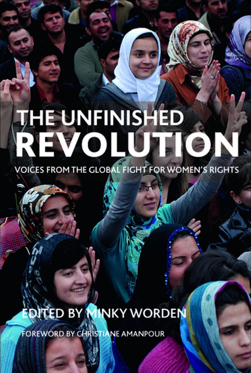 Big bigCover of The unfinished revolution