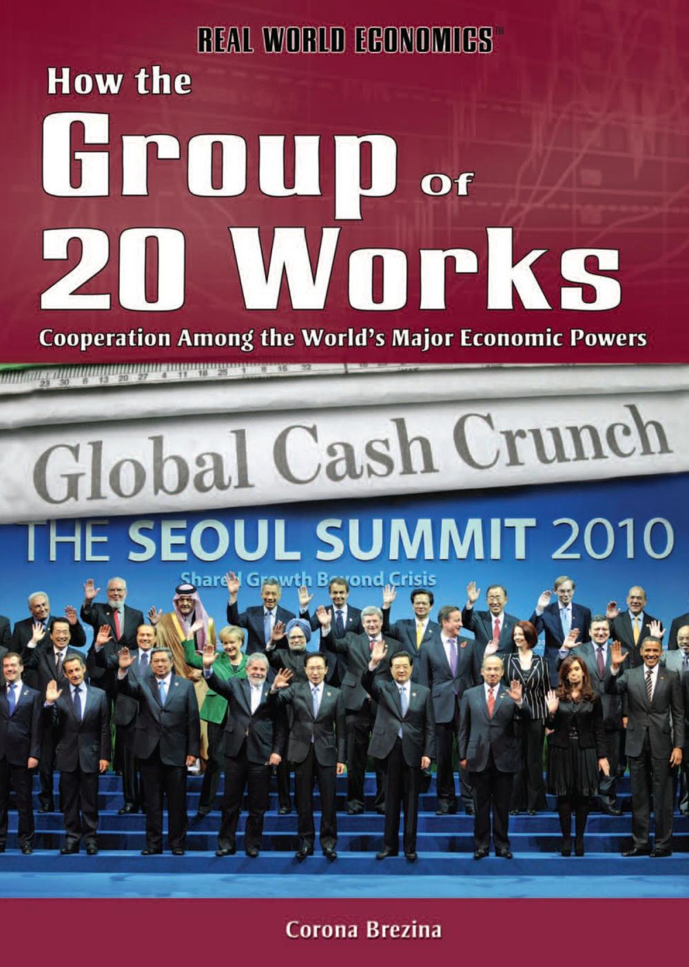 Big bigCover of How the Group of 20 Works